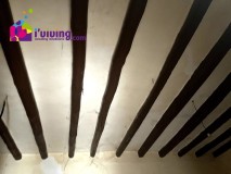 Foto4