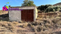 Foto5