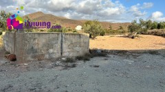 Foto9
