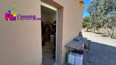 Foto12