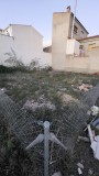 Foto2