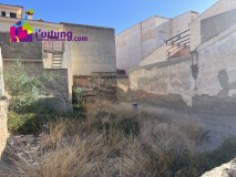 Foto3