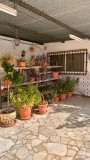 Foto14