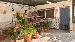 Foto15