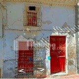 Foto1