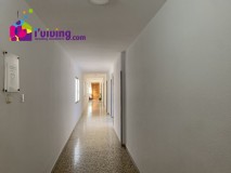 Foto7