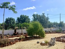 Foto9