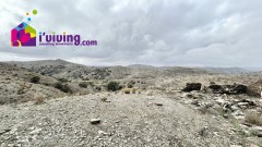 Foto6