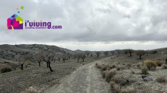 Foto8