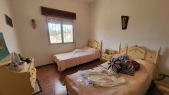 Foto7