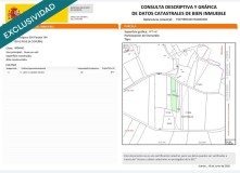 Foto3