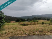 Foto1