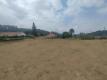 Foto5