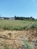 Foto4
