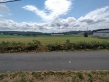 Foto1