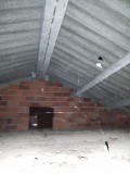 Foto16