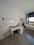 Foto6