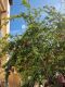 Foto37