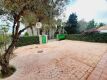 Foto6