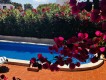 Foto8