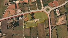 Foto5