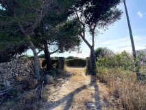 Foto19