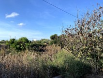 Foto30