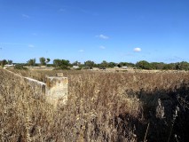 Foto14