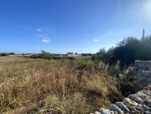 Foto9