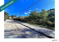 Foto4