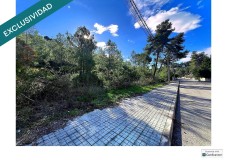 Foto9