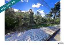 Foto8