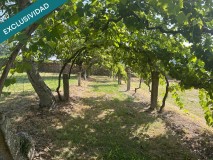 Foto37