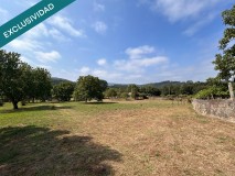 Foto39