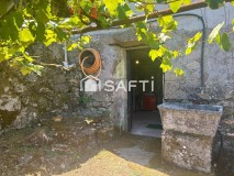 Foto49