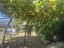 Foto51