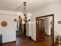 Foto3
