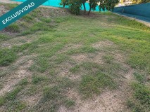 Foto48