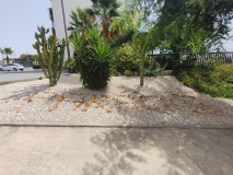 Foto13