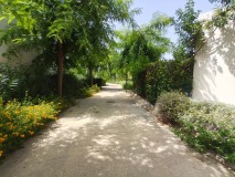 Foto14