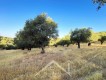 Foto16