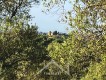 Foto5