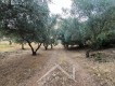 Foto7