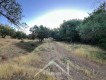 Foto8