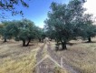 Foto9