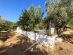 Foto58
