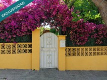 Foto6