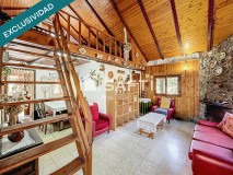 Foto8