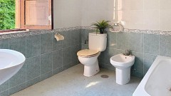 Foto35