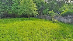 Foto39